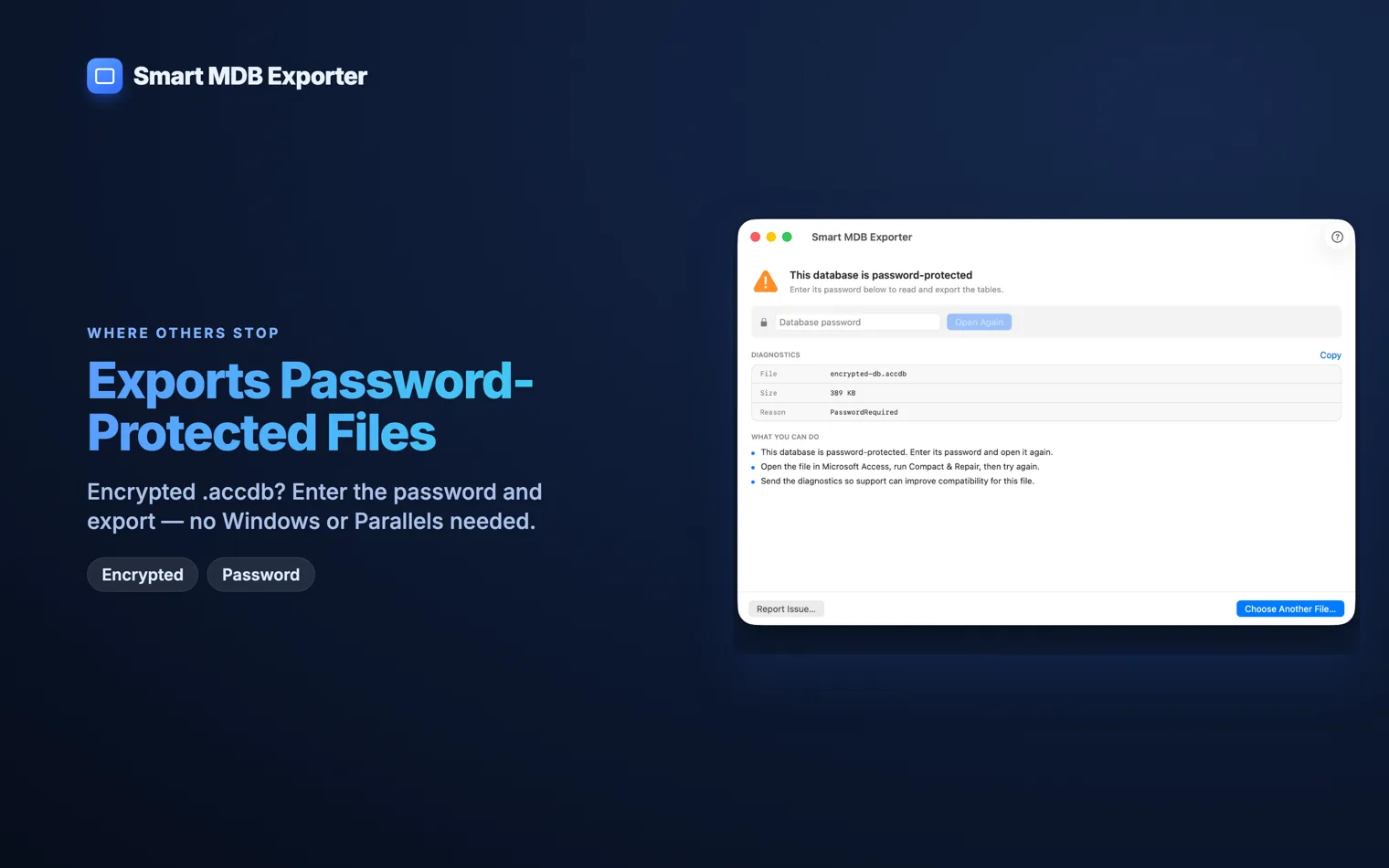 Entering the password for an encrypted .accdb database so its tables can be read