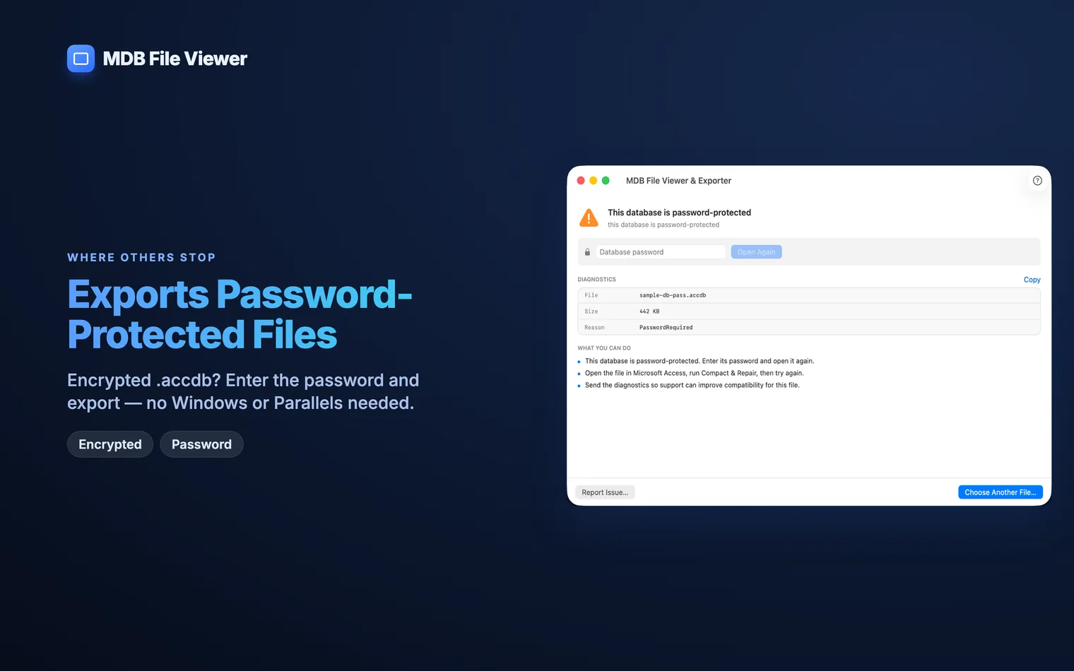 Entering the password for an encrypted .accdb database so its tables can be read